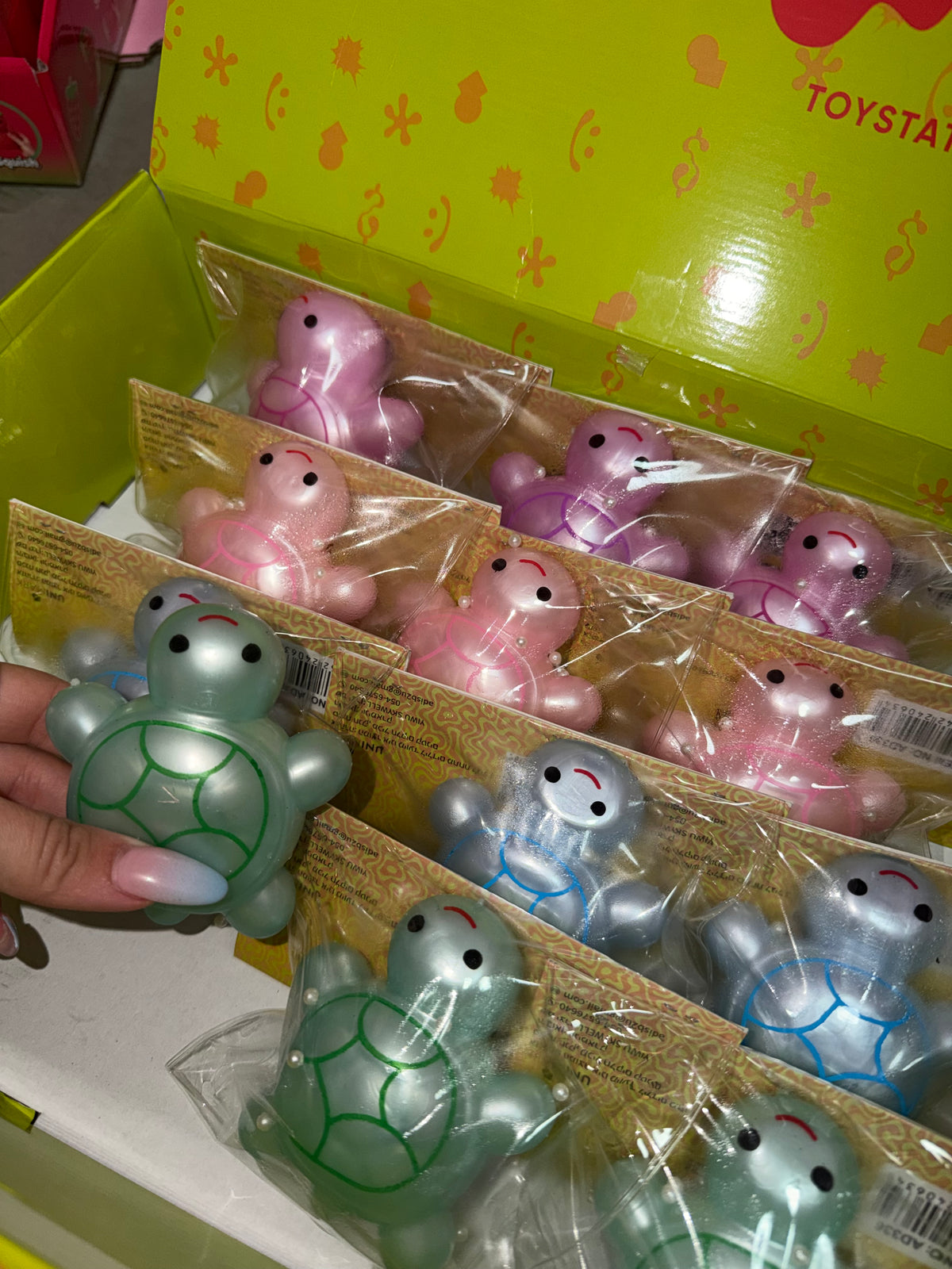 צב קליי 🐢