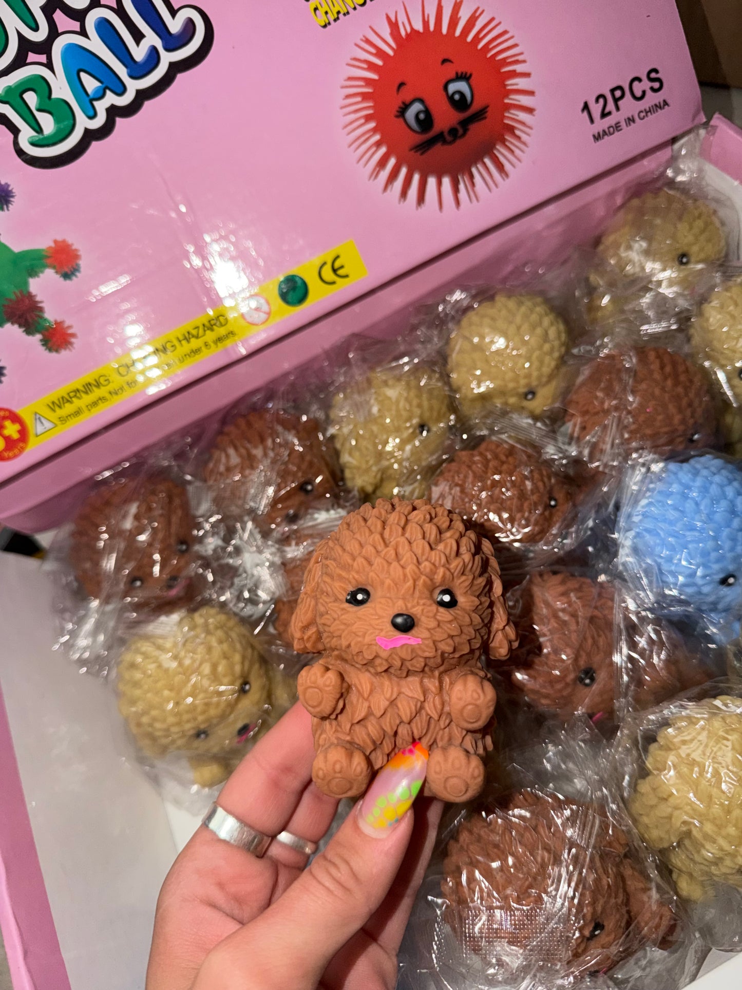 פודל נידו 🐩