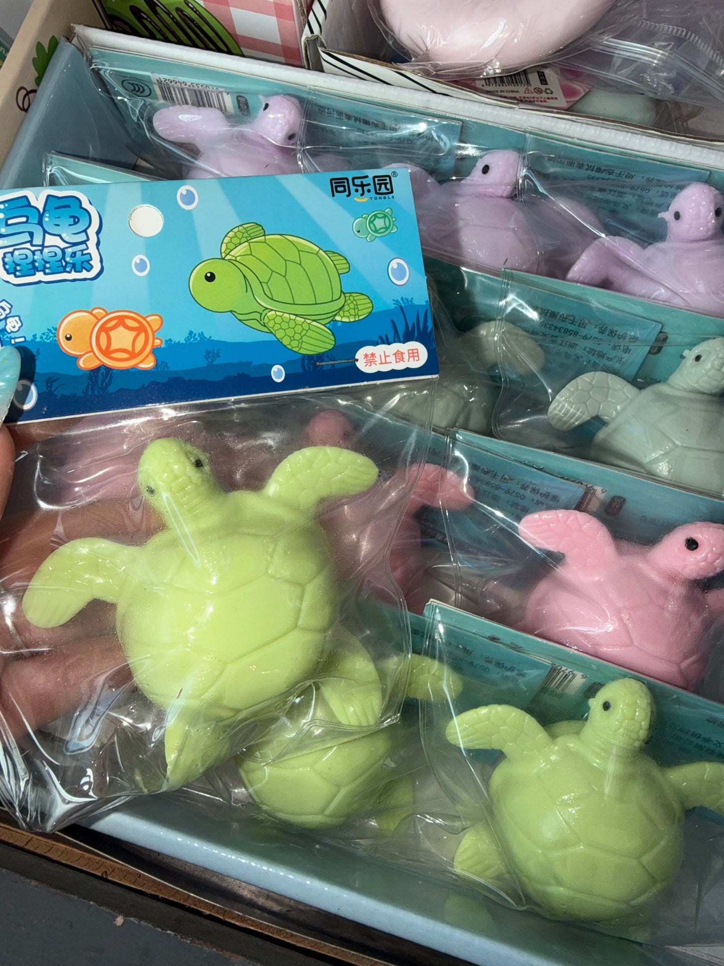 צב מים 🐢