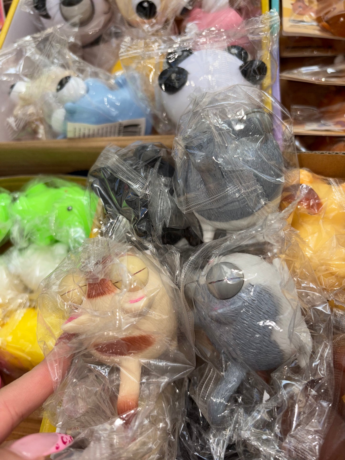 חתול מוציא עיניים