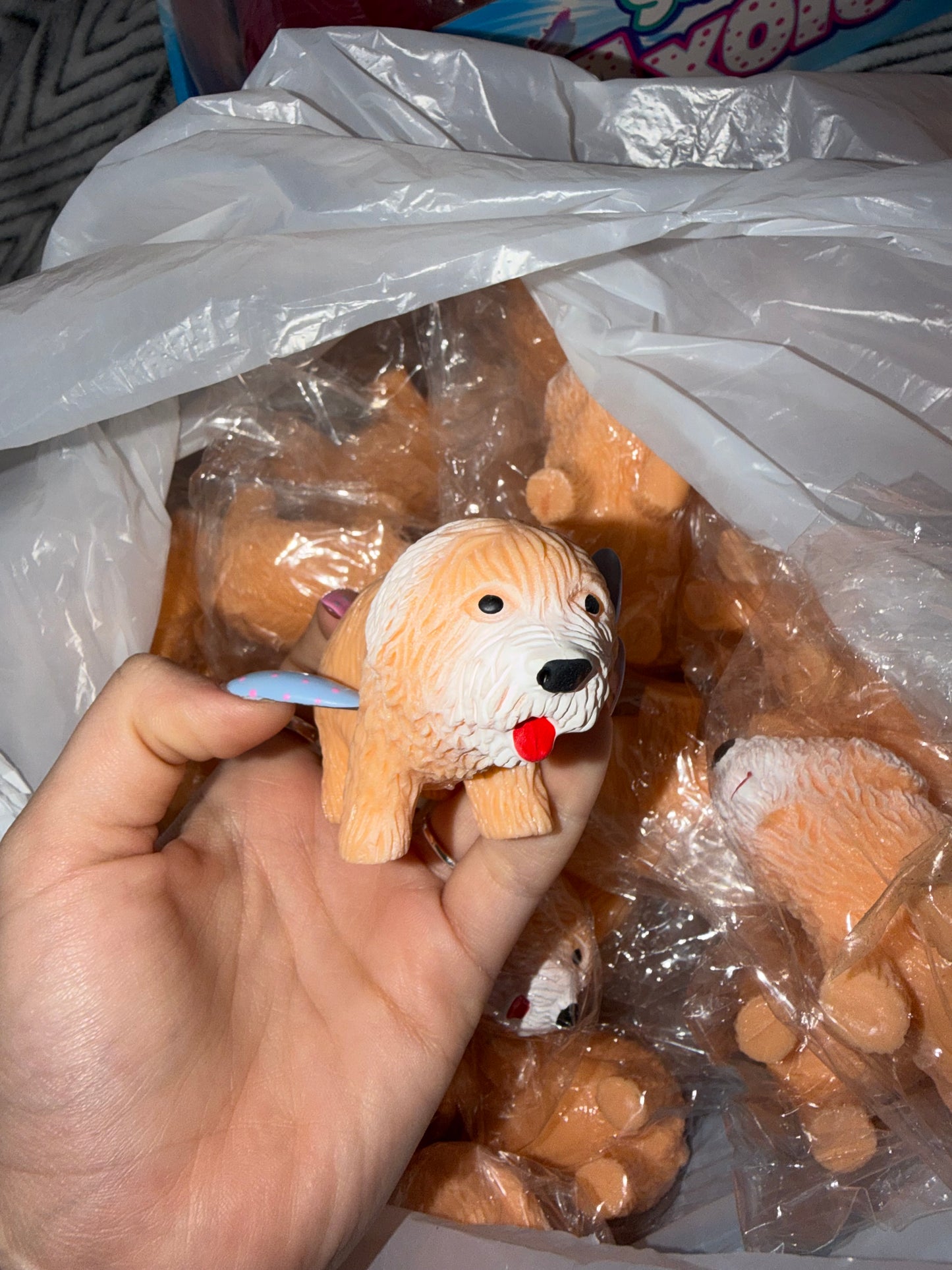 כלב נידו קטן