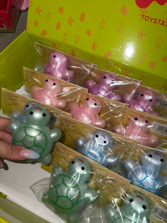צב קליי 🐢