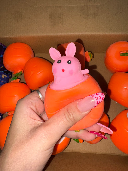 פופאפ ארנב יוצא מגזר🐇🥕