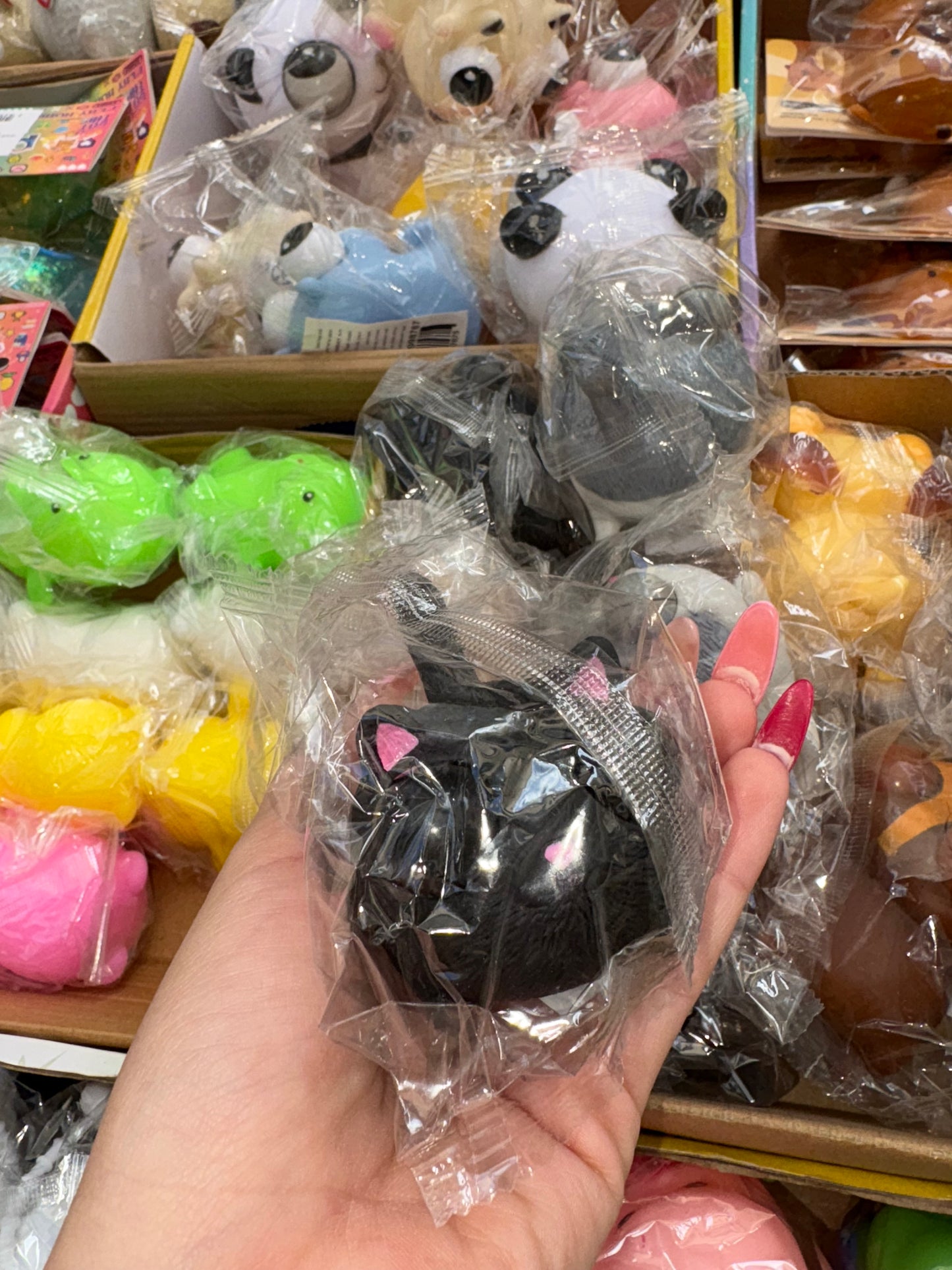 חתול מוציא עיניים