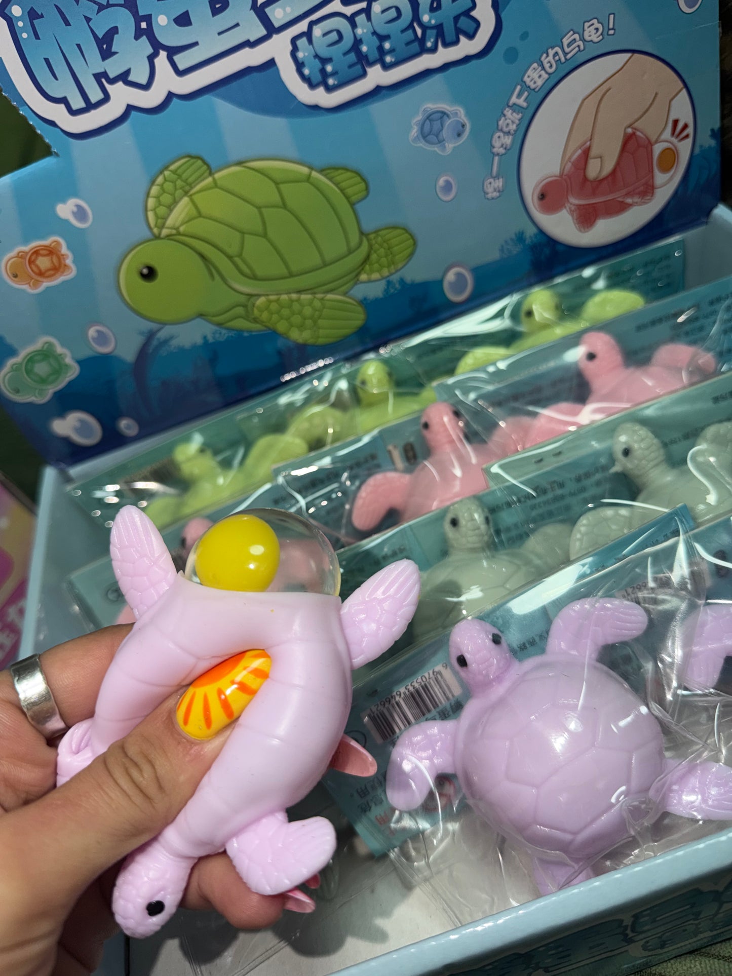 צב ים מים 🐢